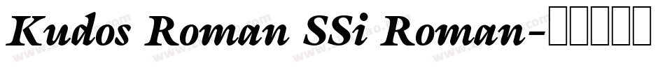 Kudos Roman SSi Roman字体转换